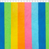 polyester fleece 2 1/4" sorbet stripe 