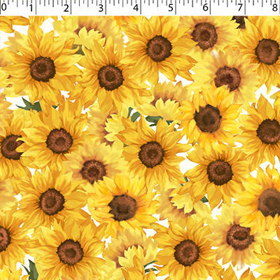 SUNFLOWER MEADOW - SUNFLOWERS