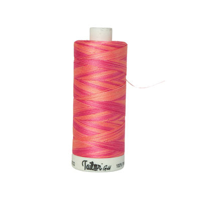 SEWING THREAD QUILTING COTTON 800YDS VARIEGATED