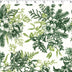 WINTER TOILE PRINTS - CHRISTMAS ROSE