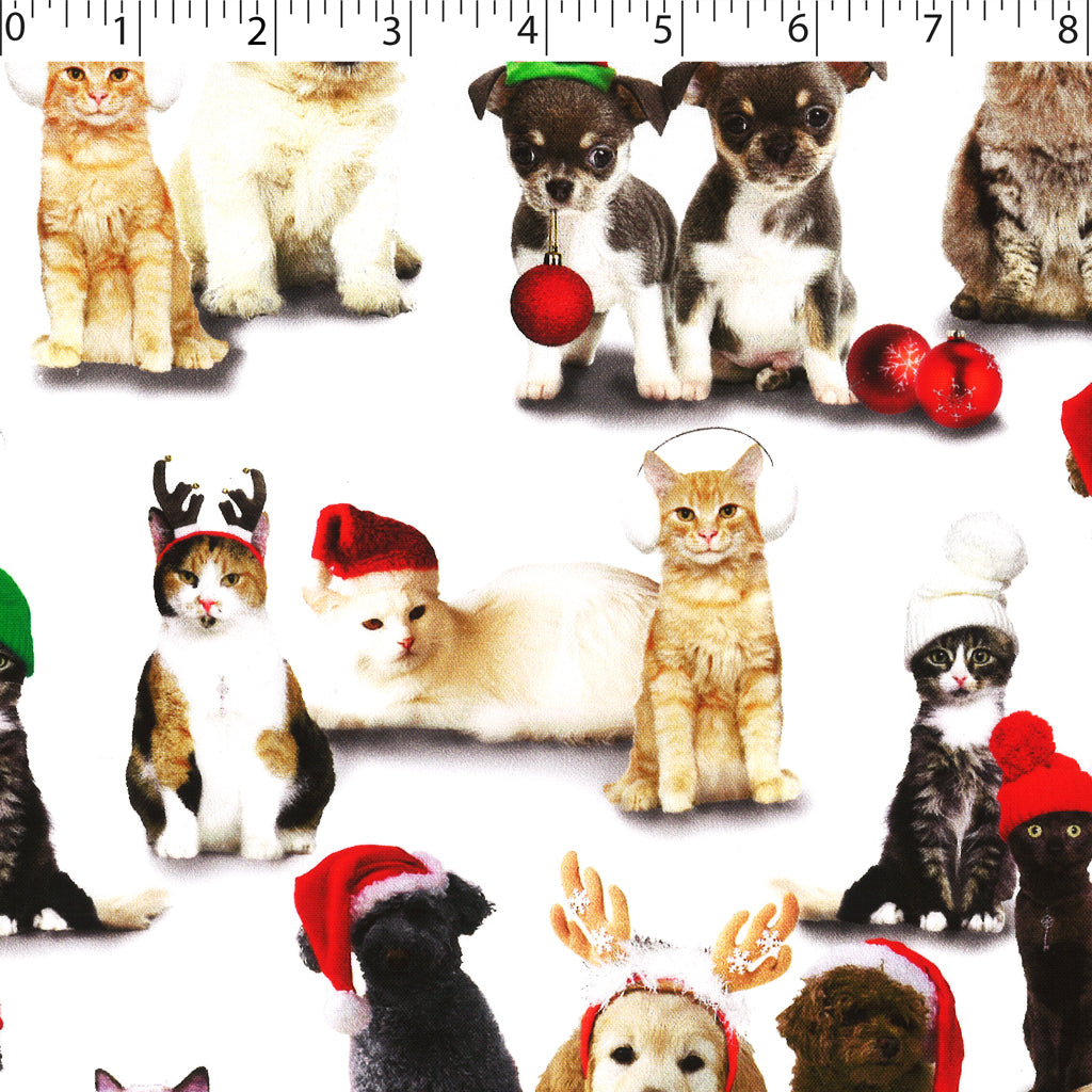 JINGLE PETS - JINGLE DOGS N CATS