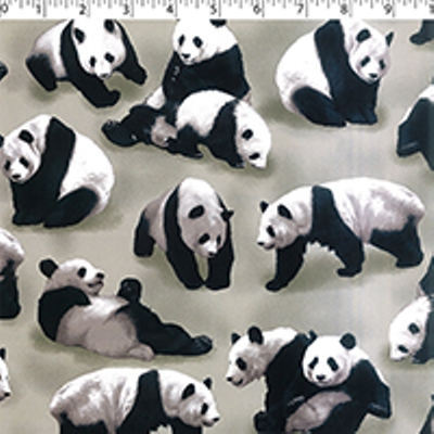 PANDAS