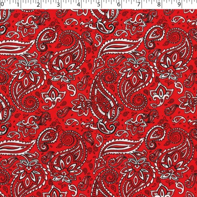 BANDANA PRINTS - PAISLEY ALLOVER