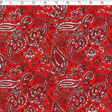 BANDANA PRINTS - PAISLEY ALLOVER